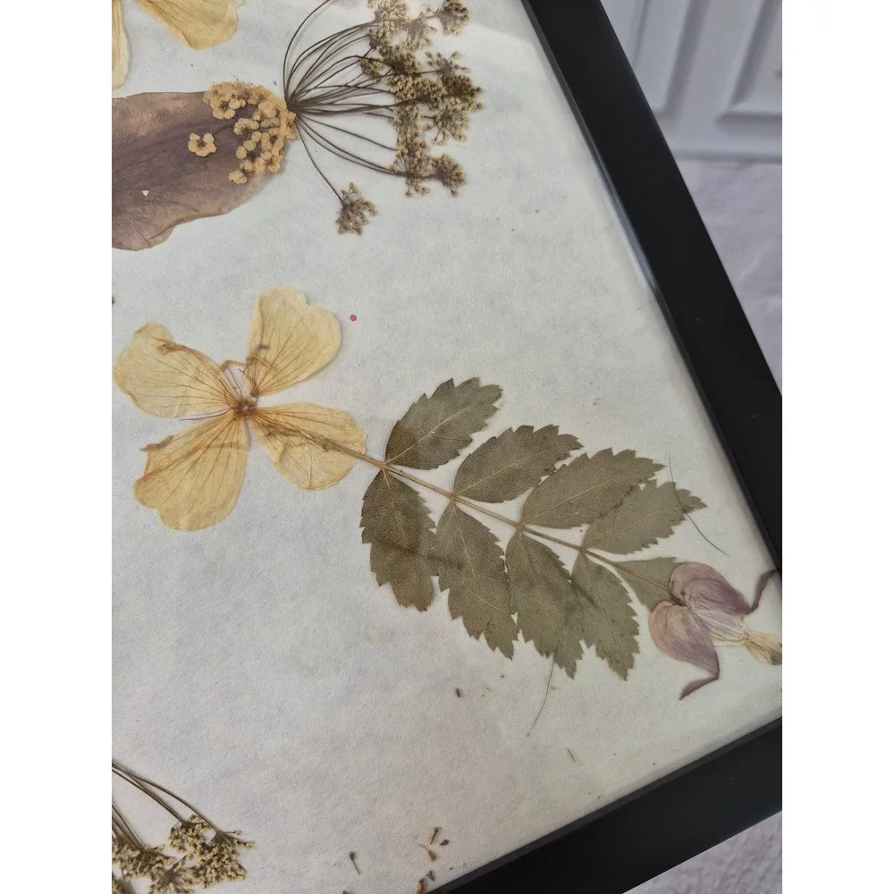 Pressed Flower Botanical Art Framed Red Cardinal Bird Wall Decor 12.5x12.5